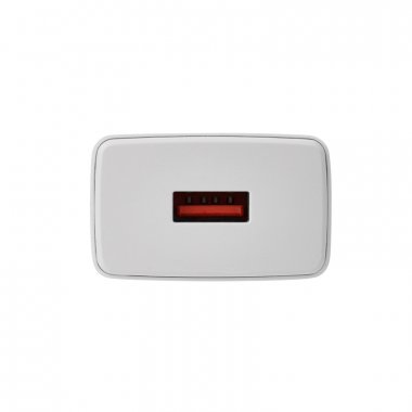 Фотография товара 'Rexant 16-0276 Сетевое зарядное устройство для iPhone/iPad 2 x USB, 5V, 2.4 A'