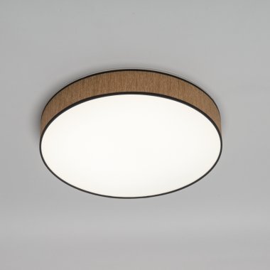 Фотография товара 'Rexant 650-1077 Светильник потолочный Alata, LUMI Line, 70Вт, 500х90 мм'