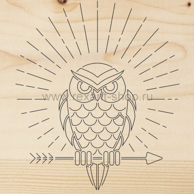 Фотография товара 'Rexant Доска для выжигания «Сова»12-0902'
