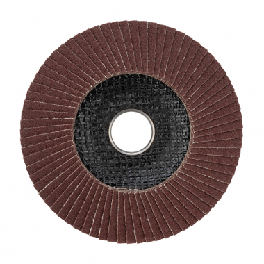 Фотография товара 'Rexant 90-0016 Круг лепестковый торцевой P 100, 125х22,2 мм'