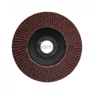 Фотография товара 'Rexant Круг лепестковый торцевой P 60, 125х22,2 мм, 90-0013'