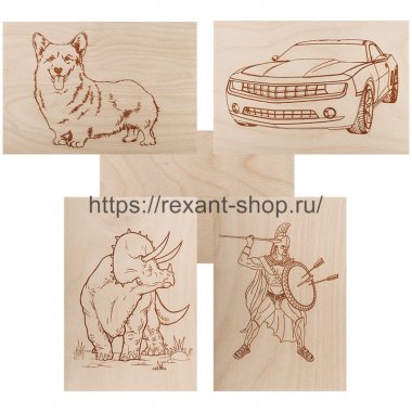 Фотография товара 'Rexant Доски для выжигания , «Набор №2» (воин/динозавр/собака/машина/без рисунка), 148х210 мм (А5), 12-0937'