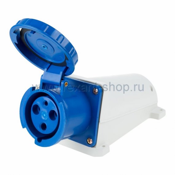 Фотография товара 'Rexant Розетка 133 стационарная 2Р+РЕ 63А 220В IP67 11-8915'