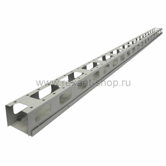 Фотография товара 'Rexant Вертикальный кабельный органайзер 42U 04-2640'