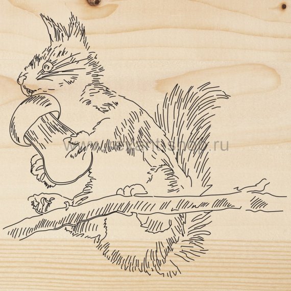 Фотография товара 'Rexant Доска для выжигания «Белка» 12-0927'