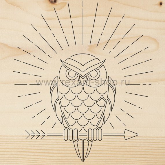Фотография товара 'Rexant Доска для выжигания «Сова»12-0902'