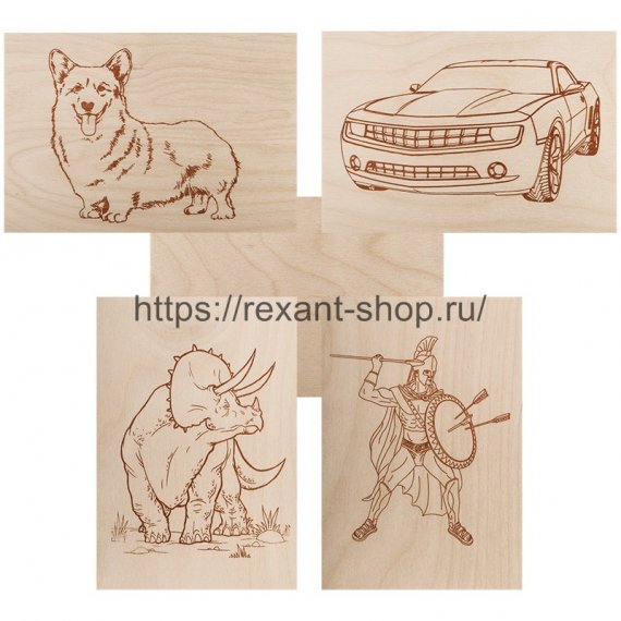 Фотография товара 'Rexant Доски для выжигания , «Набор №2» (воин/динозавр/собака/машина/без рисунка), 148х210 мм (А5), 12-0937'