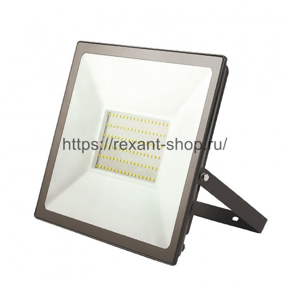 Фотография товара 'Rexant Прожектор светодиодный 100 Вт 200–260В IP65 8000 лм 6500 K, 605-005'